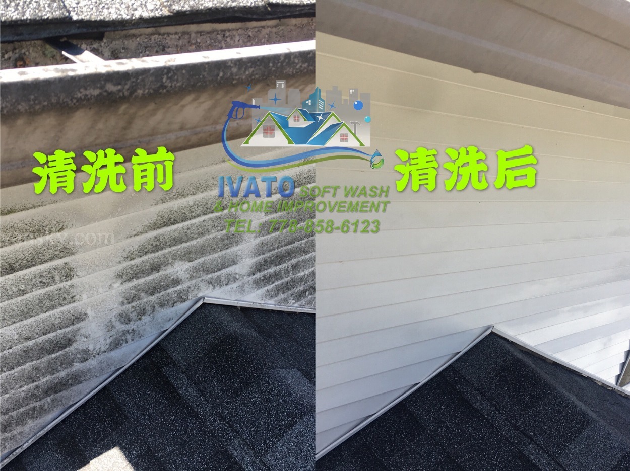 220328174349_02 house washing 02.jpg